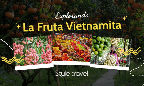 vietnamese fruits